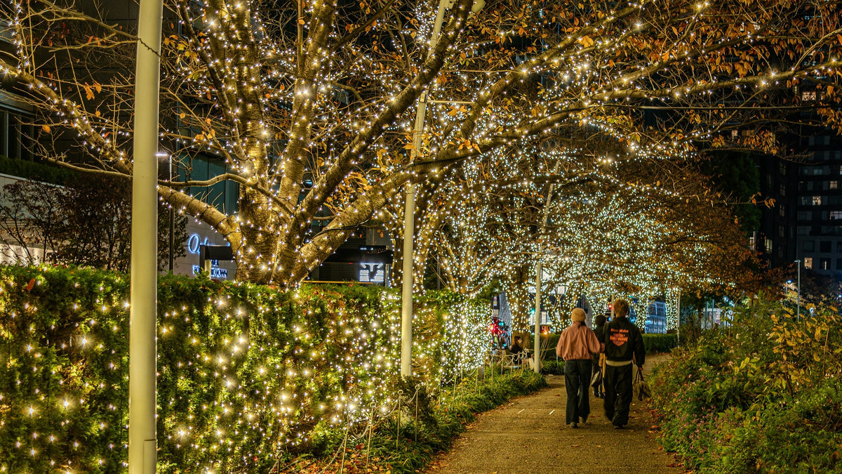 Walkway lined with warm path lights at night